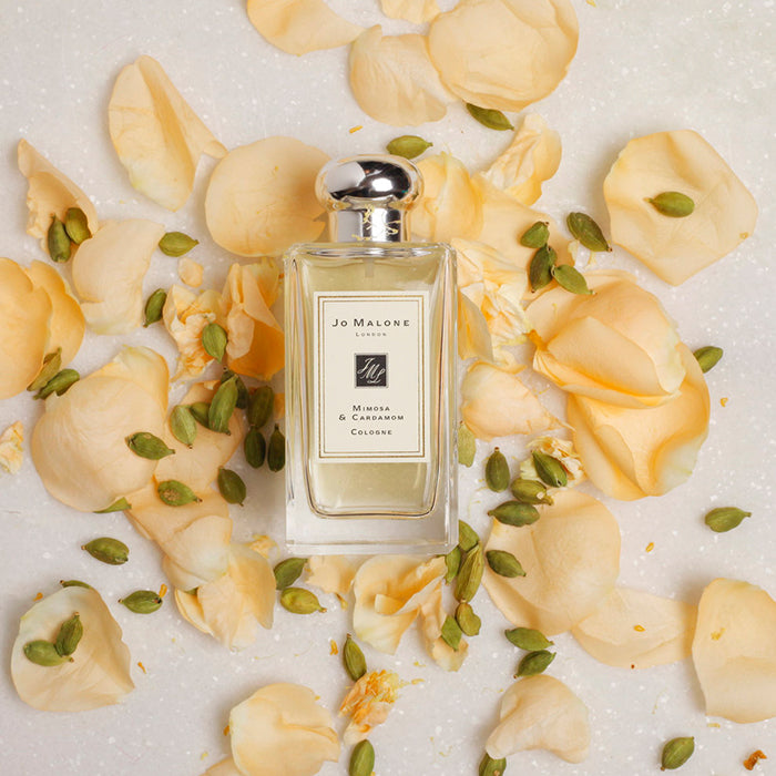 MIMOSA &amp; CARDAMOM COLOGNE PERFUME by JO MALONE at Sundora
