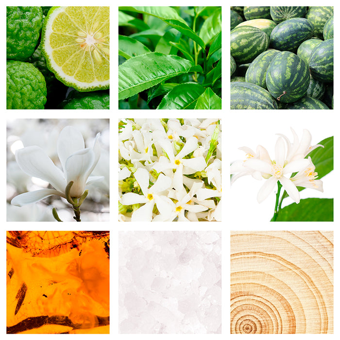 LES FLEURS SWEET JASMINE EDT PERFUME by LANVIN at Sundora