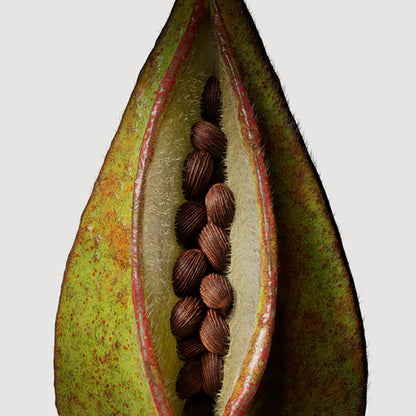 PARISIAN MUSC HAND AND BODY WASH SKINCARE by MATIERE PREMIERE at Sundora