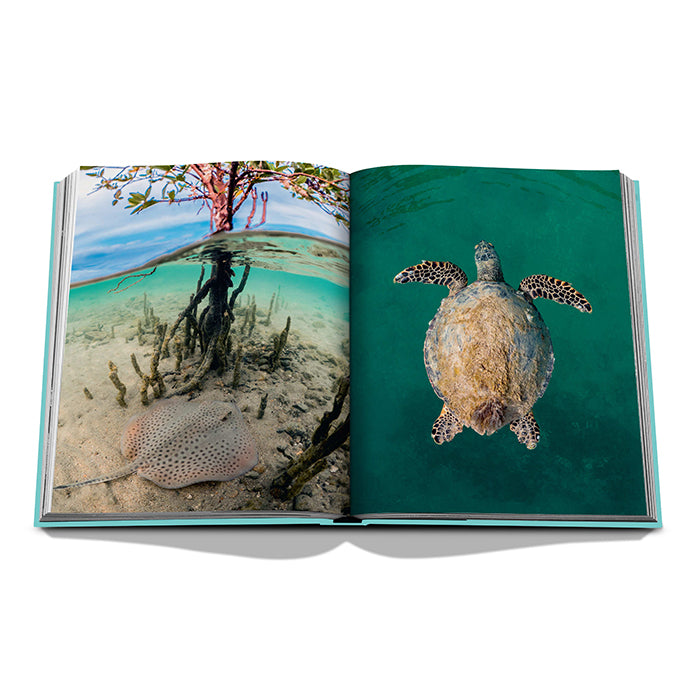 Louis Vuitton: Virgil Abloh (Classic Cartoon Cover)