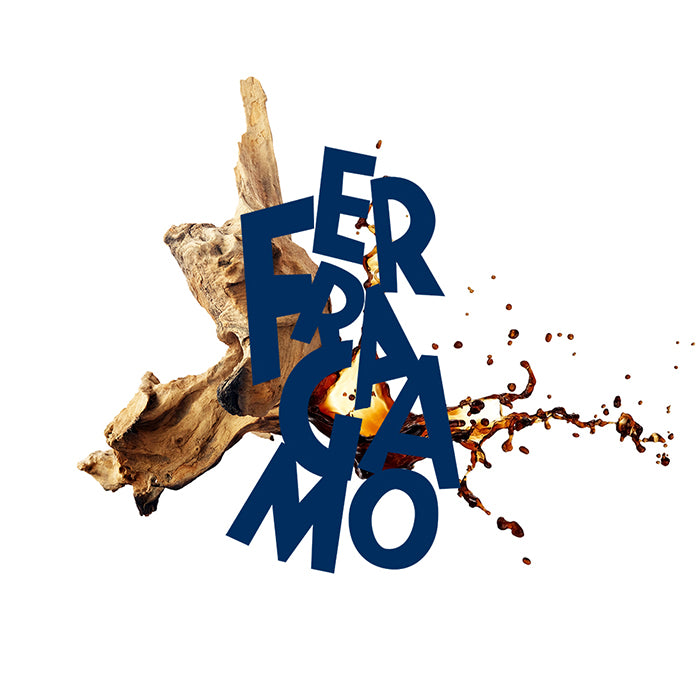 UOMO FERRAGAMO URBAN FEEL EAU DE TOILETTE PERFUME by SALVATORE FERRAGAMO at Sundora