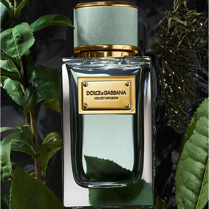 VELVET INFUSION EAU DE PARFUM PERFUME by DOLCE &amp; GABBANA at Sundora