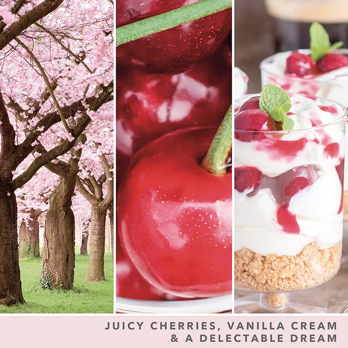 Pink Cherry &amp; Vanilla Medium Jar