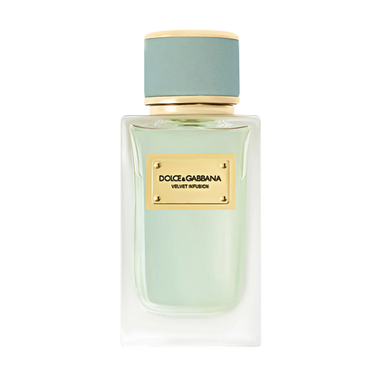 VELVET INFUSION EAU DE PARFUM PERFUME by DOLCE &amp; GABBANA at Sundora
