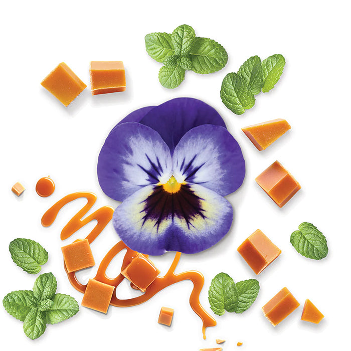 MOUBOUSSIN POUR LUI IN BLACK EDP TRAVEL PERFUME by MAUBOUSSIN at Sundora