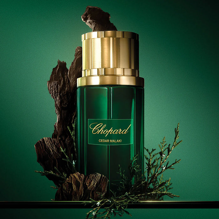 CEDAR MALAKI PERFUME by CHOPARD at Sundora