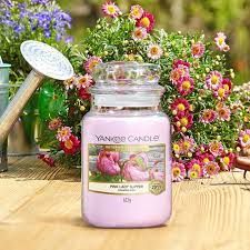 PINK LADY SLIPPER CLASSIC JAR CANDLE by YANKEE CANDLE at Sundora