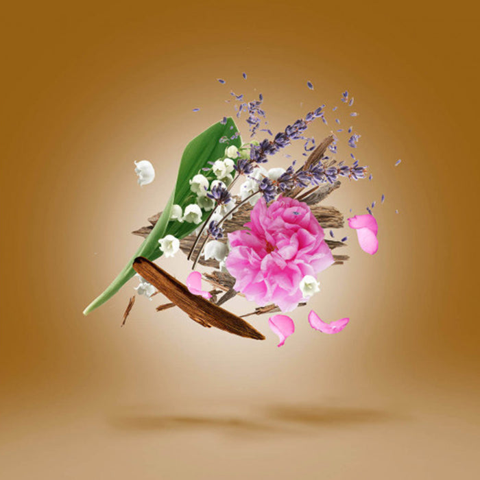 ALEXANDRIA II ATTAR OIL PERFUME by XERJOFF at Sundora