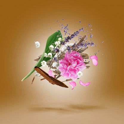 ALEXANDRIA II ATTAR OIL PERFUME by XERJOFF at Sundora