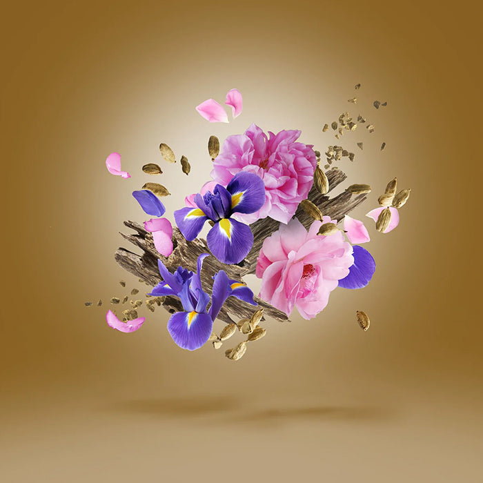 ALEXANDRIA II ANNIVERSARY PARFUM PERFUME by XERJOFF at Sundora