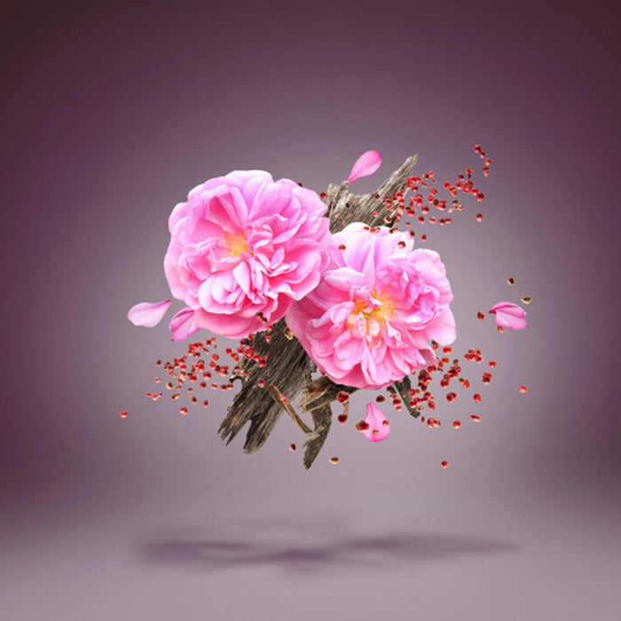 BLACK SUKAR ATTAR PERFUME by XERJOFF at Sundora