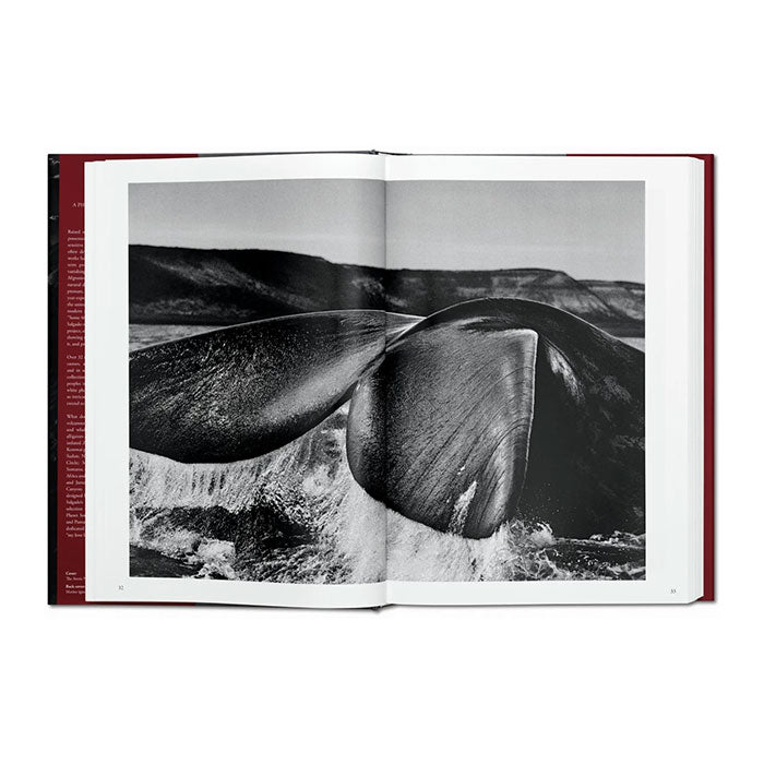 Sebastião Salgado- Genesis.