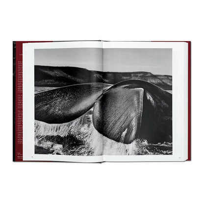 Sebastião Salgado- Genesis.
