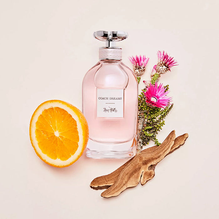 COACH DREAMS PERFUME by COACH at Sundora