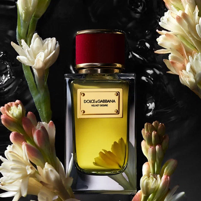 VELVET DESIRE EAU DE PARFUM PERFUME by DOLCE &amp; GABBANA at Sundora