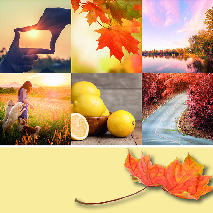 AUTUMN SUNSET CLASSIC JAR CANDLE by YANKEE CANDLE at Sundora