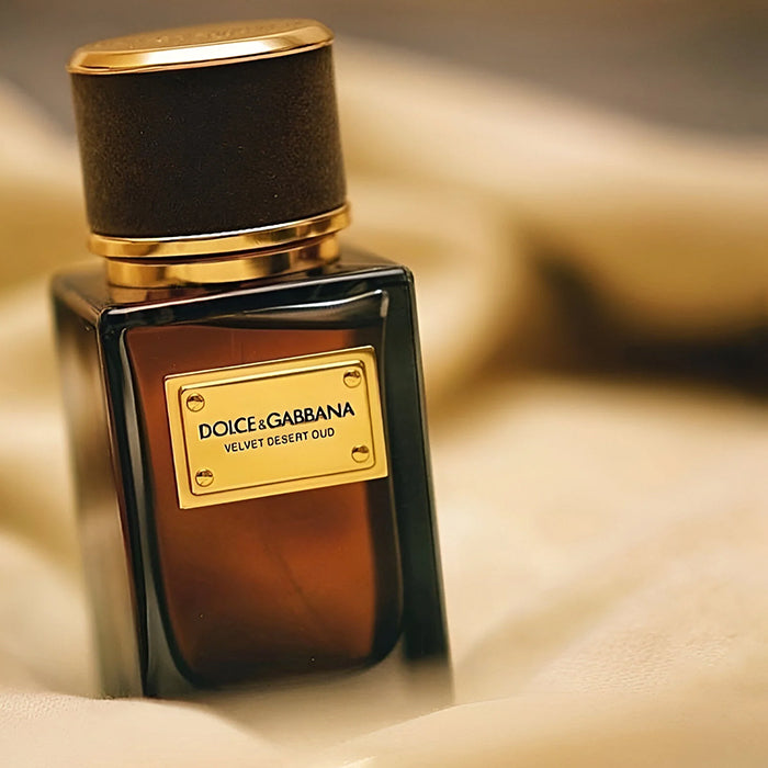 VELVET DESERT OUD EAU DE PARFUM PERFUME by DOLCE &amp; GABBANA at Sundora