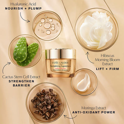 REVITALIZING SUPREME+ MOISTURIZER YOUTH POWER CREME FACE SERUM by ESTÉE LAUDER at Sundora