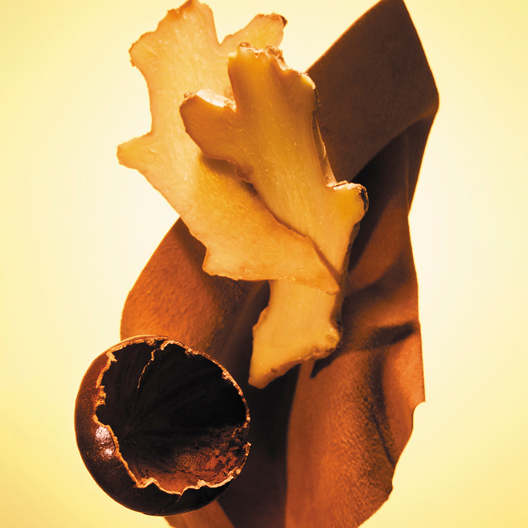 BOSS THE SCENT EAU DE TOILETTE PERFUME by HUGO BOSS at Sundora