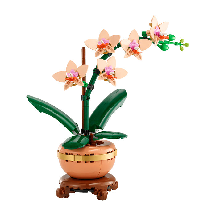 10343 Botanicals Mini Orchid