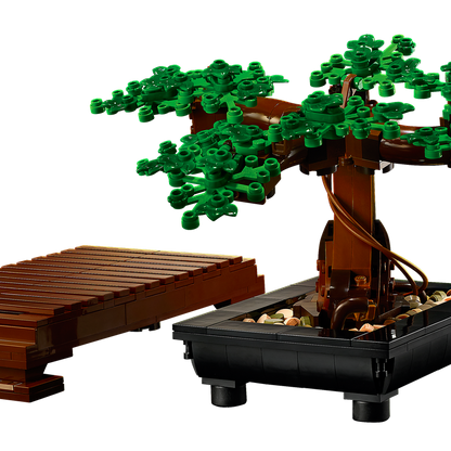 10281 Bonsai Tree