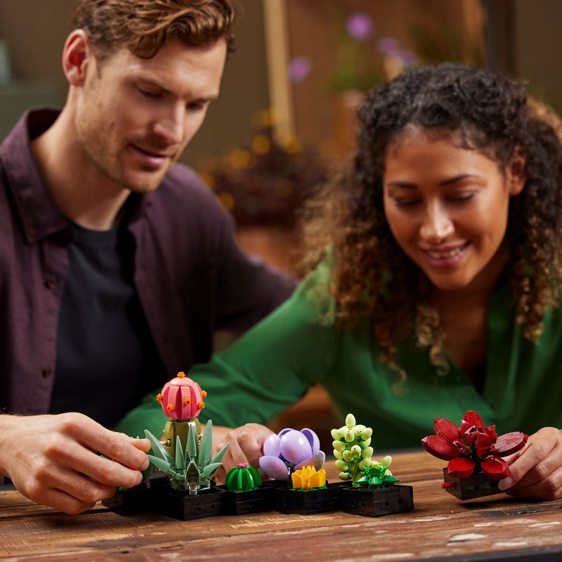 ১০৩০৯ সুকুলেন্টস