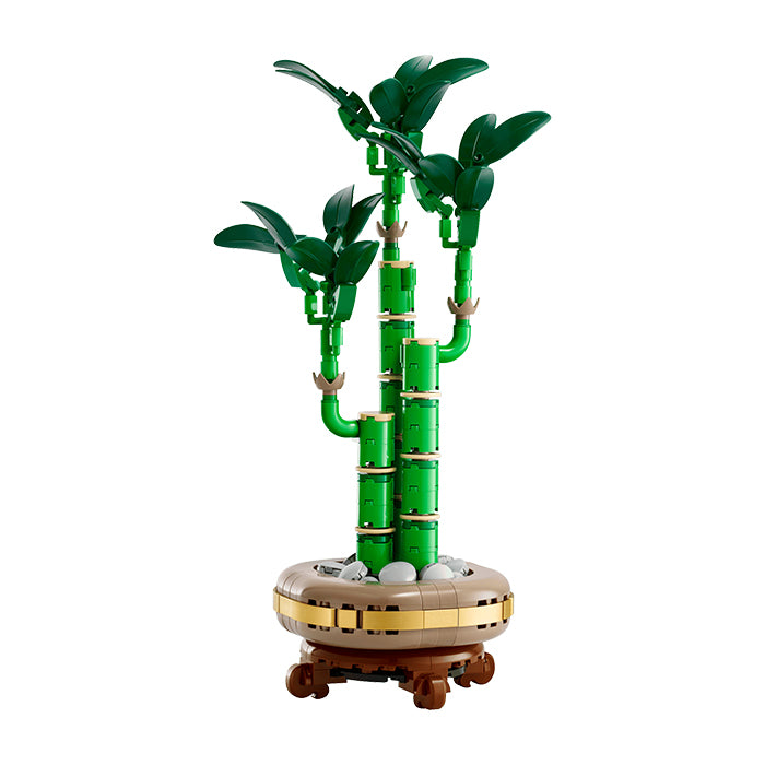 10344 Botanicals Lucky Bamboo