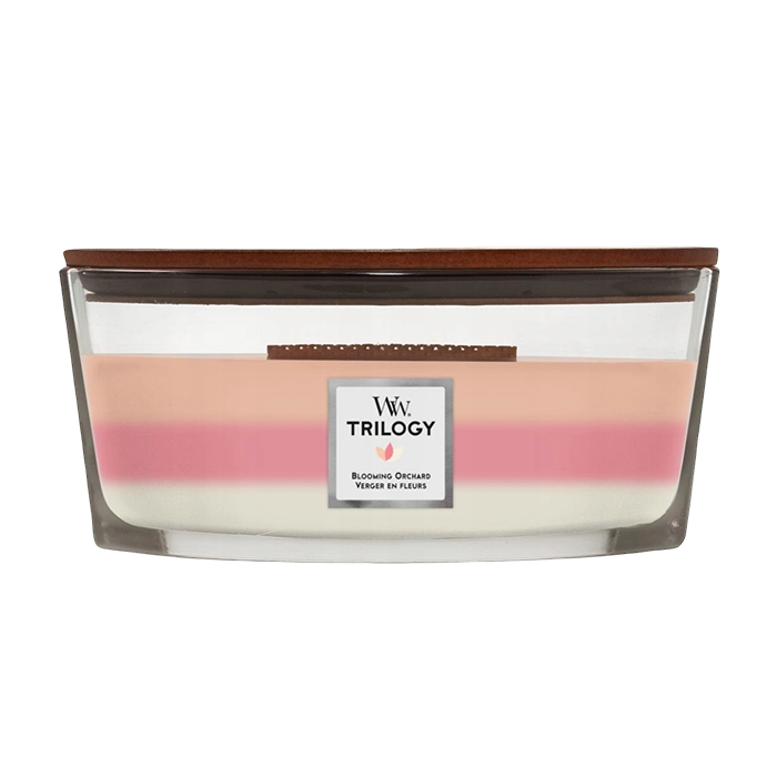 Trilogy Blooming Orchard Candle