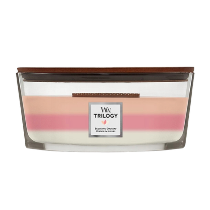 Trilogy Blooming Orchard Candle