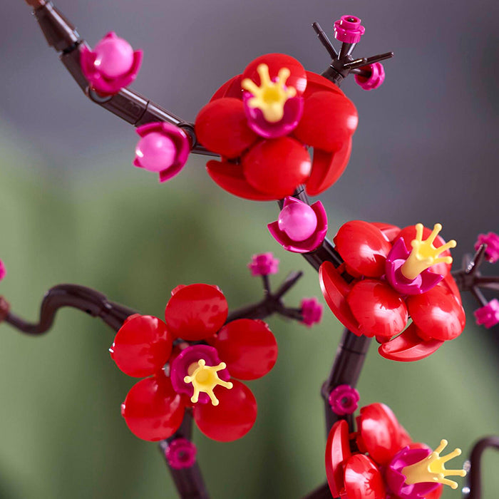 10369 Plum Blossom