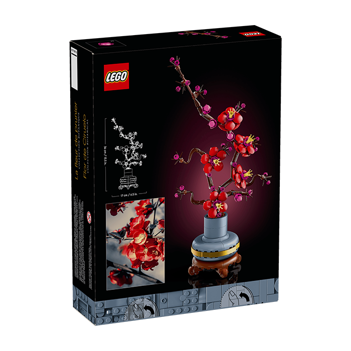 10369 Plum Blossom