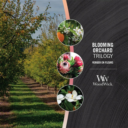 Trilogy Blooming Orchard Candle