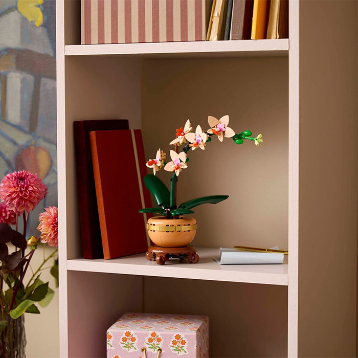 10343 Botanicals Mini Orchid