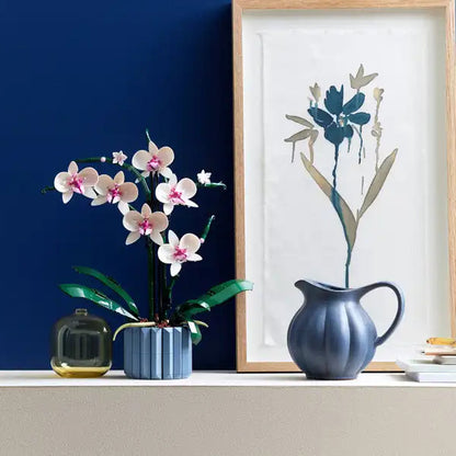 ১০৩১১ অর্কিড