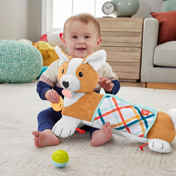Baby Tummy Time Toys, 3-In-1 Plush Puppy Wedge with BPA-Free Teether Rattle EDUCATIONAL TOYS by FISHER-PRICE at Sundora