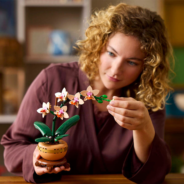 10343 Botanicals Mini Orchid