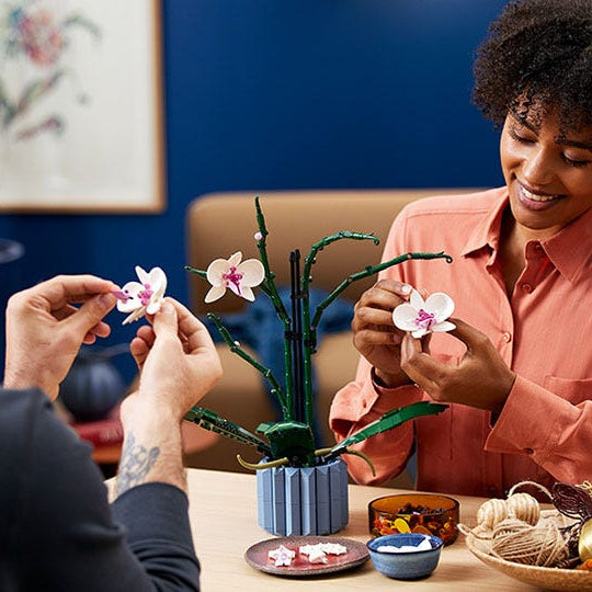 ১০৩১১ অর্কিড