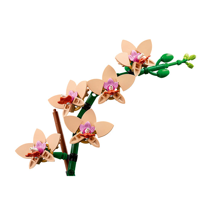 10343 Botanicals Mini Orchid