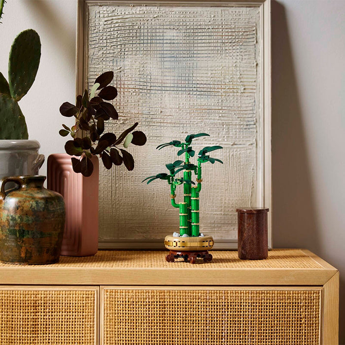 10344 Botanicals Lucky Bamboo