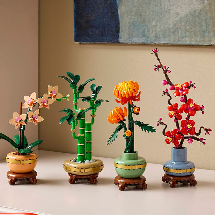 10344 Botanicals Lucky Bamboo