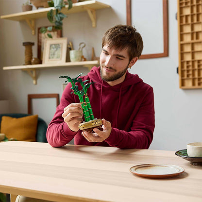 10344 Botanicals Lucky Bamboo