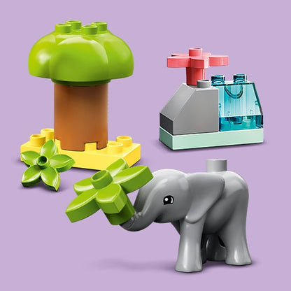 10971 Wild Animals of Africa