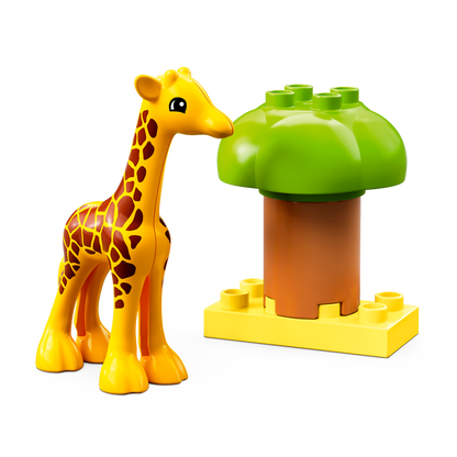 10971 Wild Animals of Africa