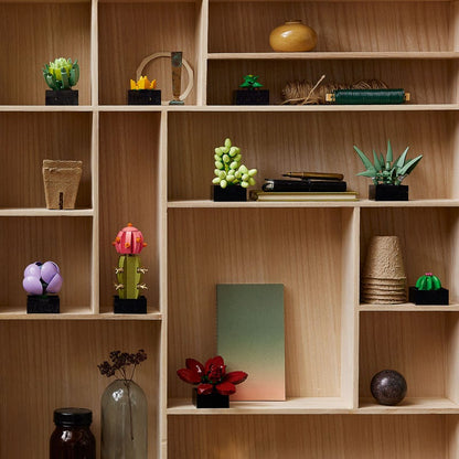 ১০৩০৯ সুকুলেন্টস