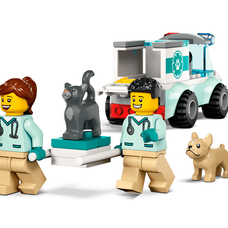 ৬০৩৮২ ভেট ভ্যান রেসকিউ