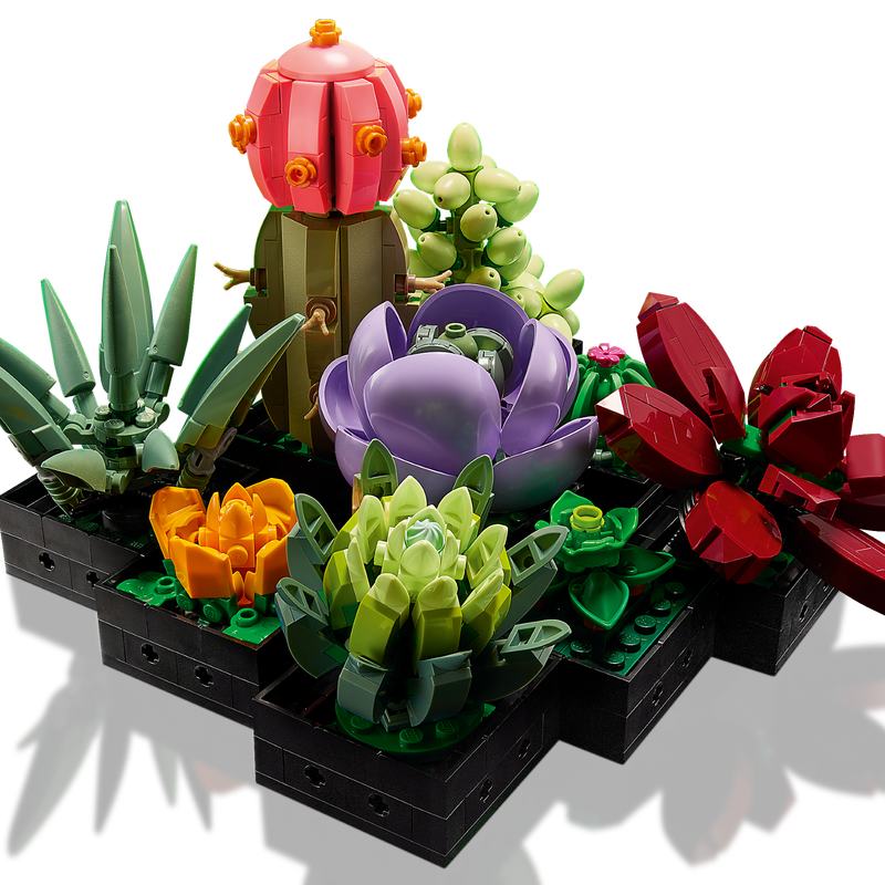 ১০৩০৯ সুকুলেন্টস