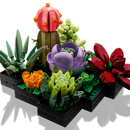 ১০৩০৯ সুকুলেন্টস