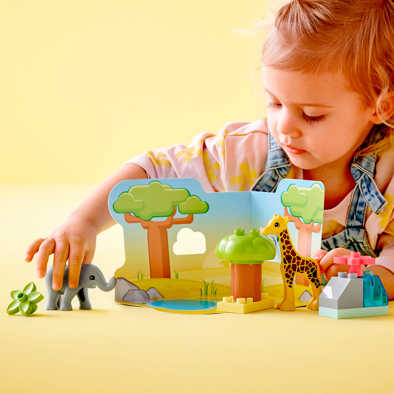 10971 Wild Animals of Africa