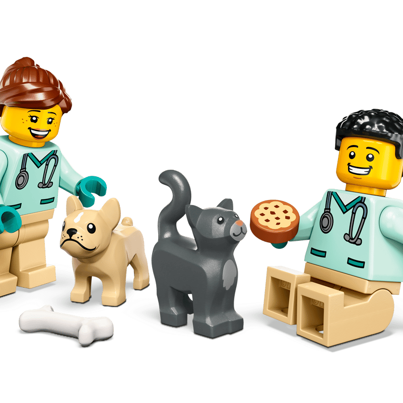 ৬০৩৮২ ভেট ভ্যান রেসকিউ