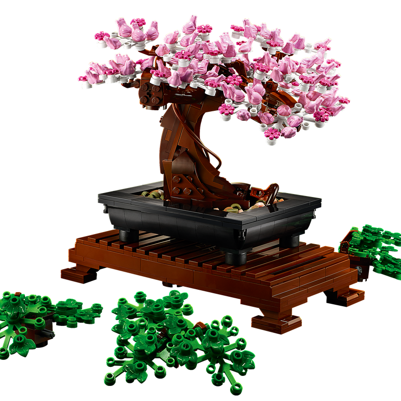 10281 Bonsai Tree